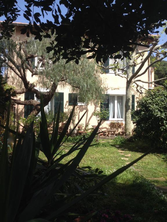 Villa Pretorina Cannes Bagian luar foto